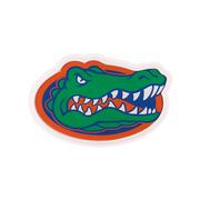 Florida 15 inch Light Up Team Logo Sign